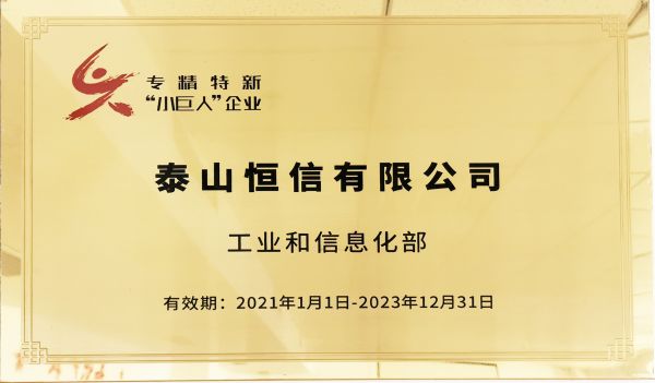 國(guó)家專精特新“小巨人”企業(yè)